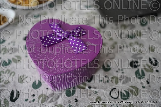 Erica Maria - 24 06 23